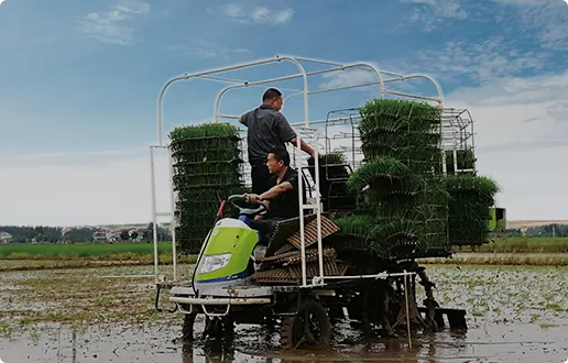 Pozostałe produkty