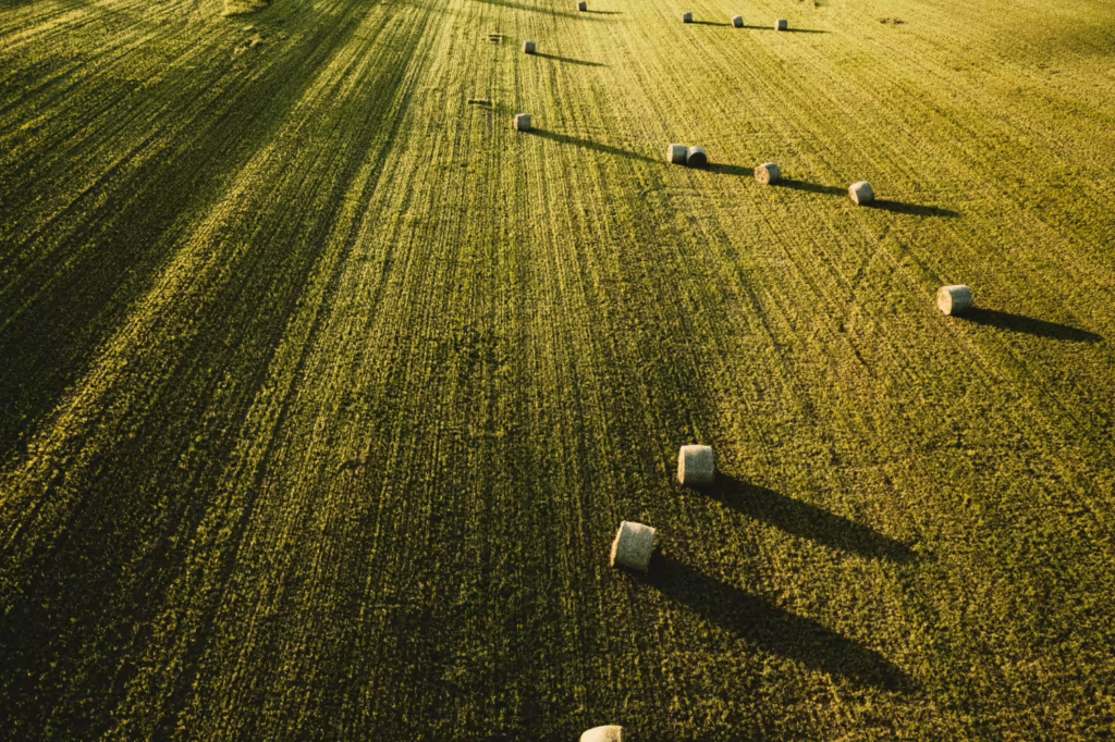 Maszyny rolnicze zabawki Bruder – Idealne dla małych farmerów
