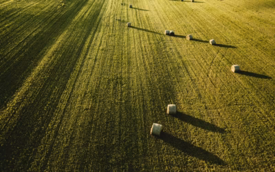 Maszyny rolnicze zabawki Bruder – Idealne dla małych farmerów