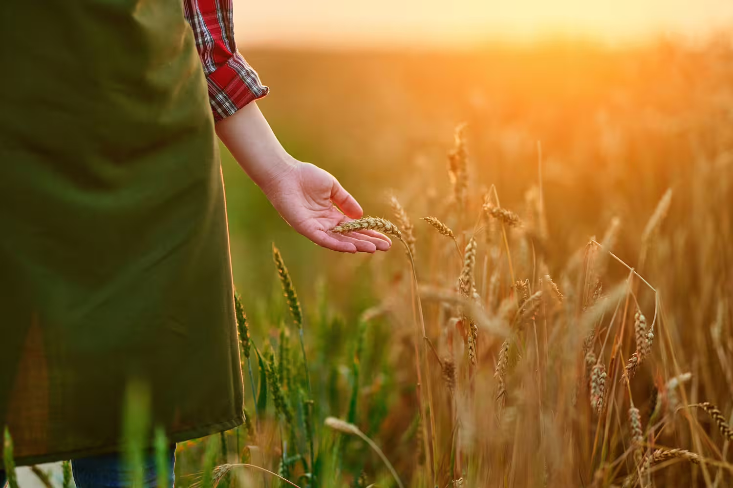 Maszyny rolnicze zabawki Bruder - Idealne dla małych farmerów - 1