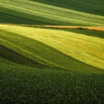Rzeczoznawca maszyn rolniczych - kluczowa rola w branży agrotechnicznej Danex maszyny rolnicze: Innowacje i oferta dla nowoczesnego rolnictwa