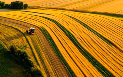 PPWR a system odpowiedzialności producenta w Polsce: co muszą zrobić producenci opakowań, by spełnić nowe wymogi